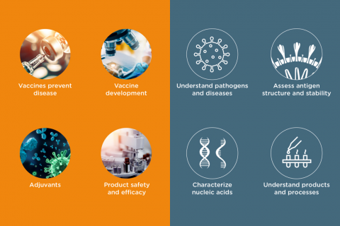 Vaccines Blog Preview.78866C1a